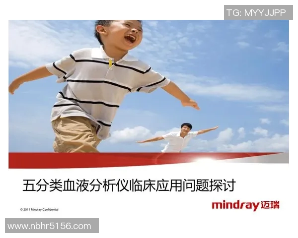 足球明星的多样特征分析与分类探讨 足球明星的多样特征分析与分类探讨